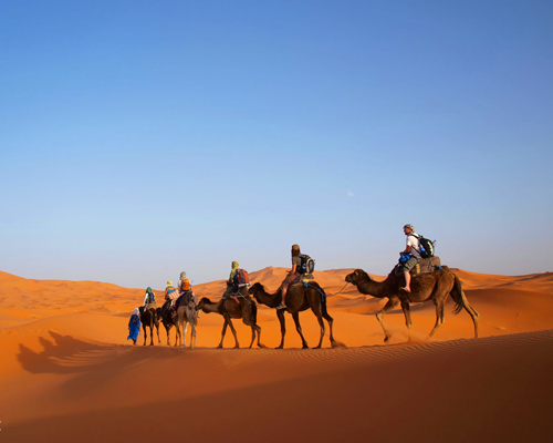 Ruta de 12 días desde Casablanca Al Desierto vía Marrakech