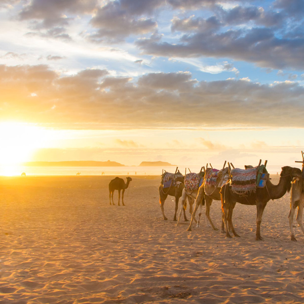 Ruta de 8 días desde Marrakech al Atlas y Costa Atlántica